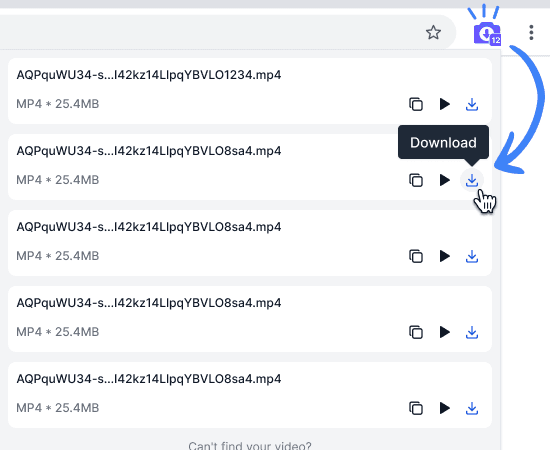 SnapAny Extension